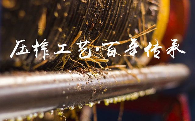 尊龙凯时_油茶莳植生产加工销售|植物油莳植生产加工销售