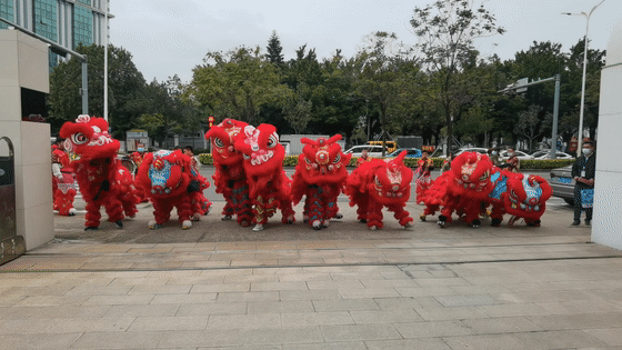 28圈官网醒狮-00.gif