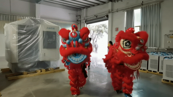 28圈官网醒狮-01.gif
